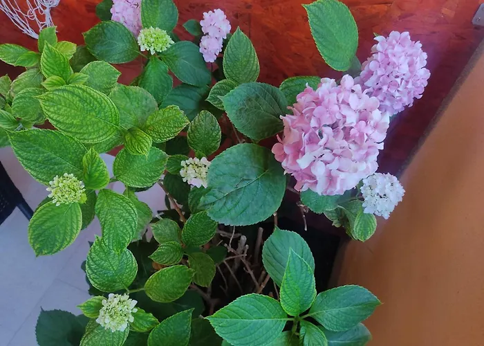 Porat 2 With Private Terrace 3* Dubrownik