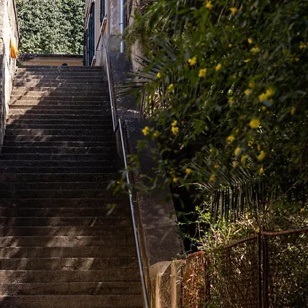 Porat 2 With Private Terrace 4* ドゥブロブニク